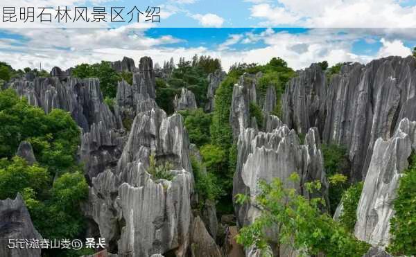 昆明石林风景区介绍