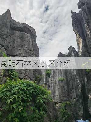 昆明石林风景区介绍-第3张图片-欧景旅游网