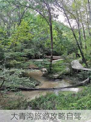 大青沟旅游攻略自驾-第3张图片-欧景旅游网