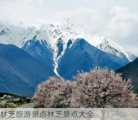 林芝旅游景点林芝景点大全-第3张图片-欧景旅游网