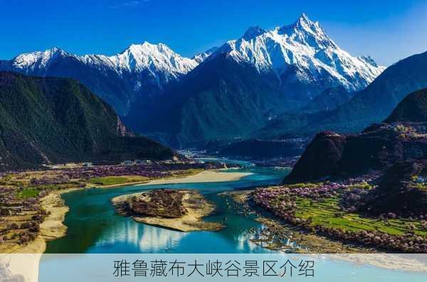 雅鲁藏布大峡谷景区介绍-第1张图片-欧景旅游网