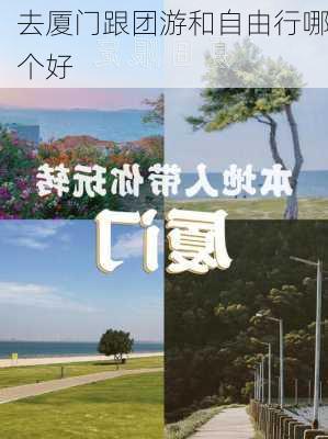 去厦门跟团游和自由行哪个好-第1张图片-欧景旅游网