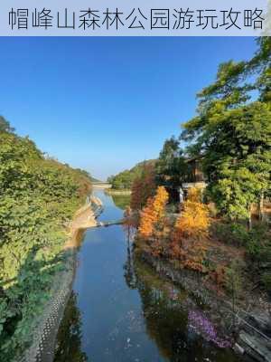 帽峰山森林公园游玩攻略-第1张图片-欧景旅游网