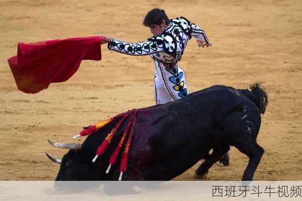 西班牙斗牛视频-第3张图片-欧景旅游网