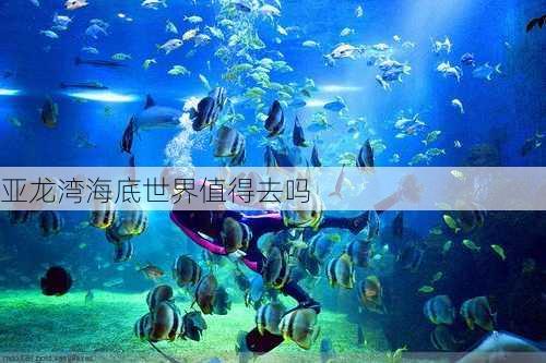 亚龙湾海底世界值得去吗-第3张图片-欧景旅游网