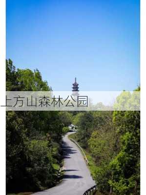 上方山森林公园-第2张图片-欧景旅游网