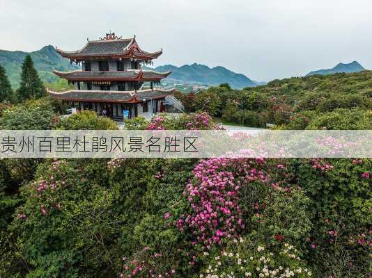 贵州百里杜鹃风景名胜区-第1张图片-欧景旅游网