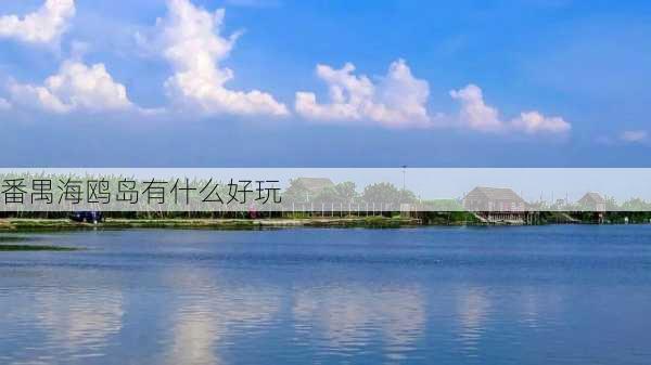 番禺海鸥岛有什么好玩