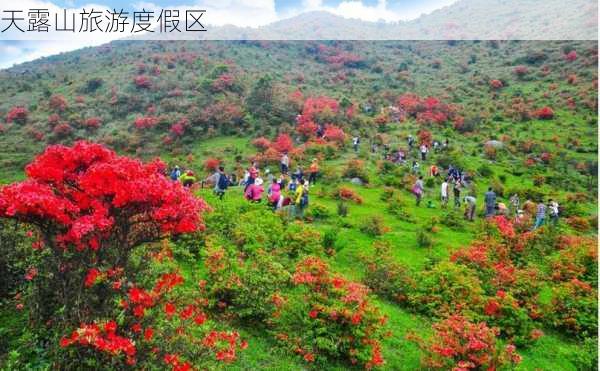 天露山旅游度假区-第3张图片-欧景旅游网