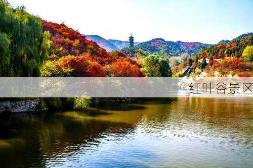 红叶谷景区-第1张图片-欧景旅游网