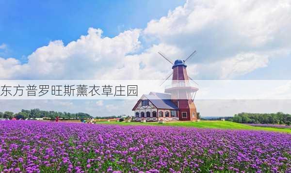 东方普罗旺斯薰衣草庄园-第1张图片-欧景旅游网