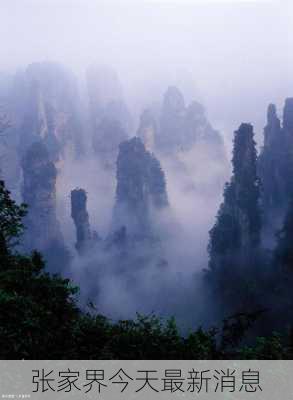 张家界今天最新消息-第3张图片-欧景旅游网