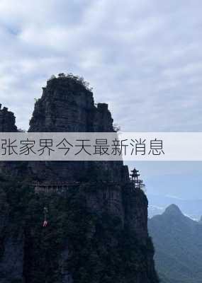 张家界今天最新消息-第2张图片-欧景旅游网