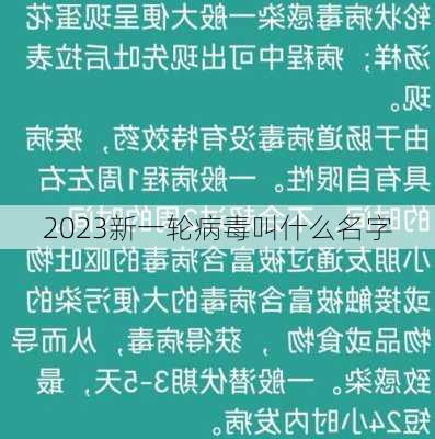 2023新一轮病毒叫什么名字-第1张图片-欧景旅游网