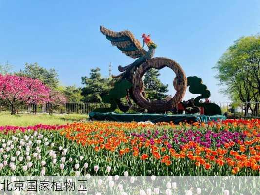 北京国家植物园-第3张图片-欧景旅游网