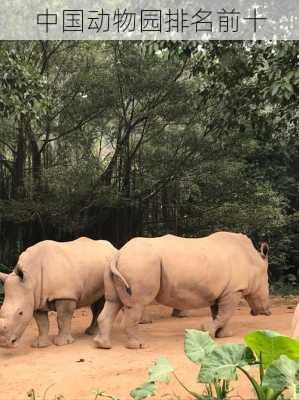 中国动物园排名前十-第2张图片-欧景旅游网