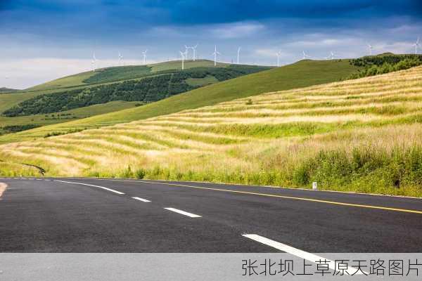 张北坝上草原天路图片-第1张图片-欧景旅游网