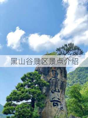 黑山谷景区景点介绍-第1张图片-欧景旅游网