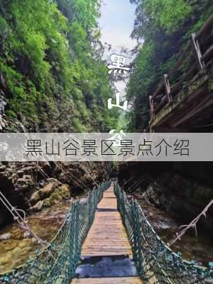 黑山谷景区景点介绍-第3张图片-欧景旅游网