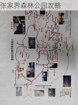 张家界森林公园攻略-第2张图片-欧景旅游网