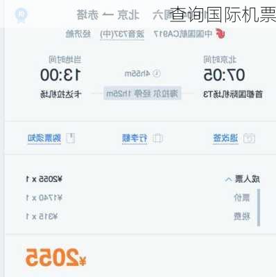 查询国际机票-第3张图片-欧景旅游网