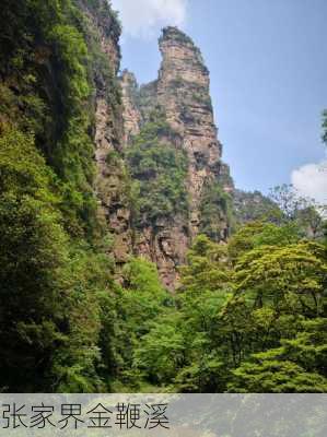 张家界金鞭溪-第1张图片-欧景旅游网