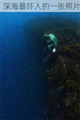 深海最吓人的一张照片-第3张图片-欧景旅游网