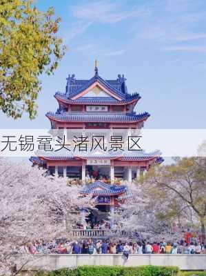 无锡鼋头渚风景区-第3张图片-欧景旅游网