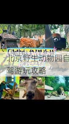 北京野生动物园自驾游玩攻略-第2张图片-欧景旅游网