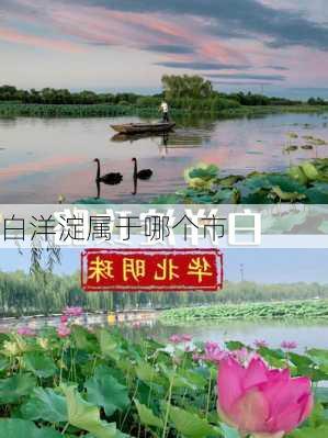 白洋淀属于哪个市-第1张图片-欧景旅游网