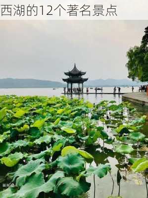 西湖的12个著名景点-第2张图片-欧景旅游网