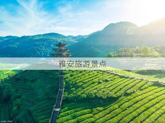 雅安旅游景点-第2张图片-欧景旅游网