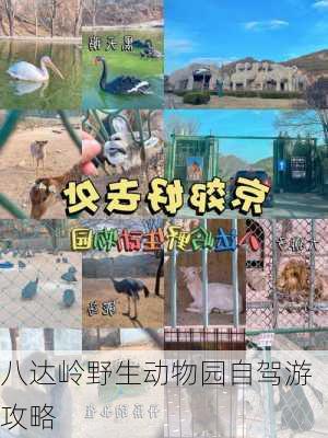 八达岭野生动物园自驾游攻略-第3张图片-欧景旅游网