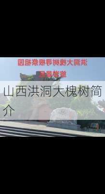 山西洪洞大槐树简介-第3张图片-欧景旅游网