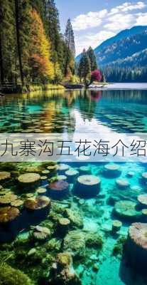 九寨沟五花海介绍-第2张图片-欧景旅游网