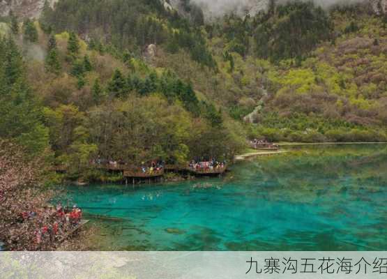 九寨沟五花海介绍-第3张图片-欧景旅游网