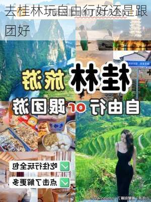 去桂林玩自由行好还是跟团好-第1张图片-欧景旅游网