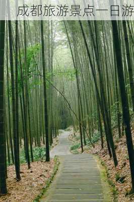 成都旅游景点一日游-第1张图片-欧景旅游网