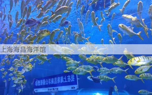 上海海昌海洋馆