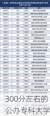 300分左右的公办专科大学-第1张图片-欧景旅游网