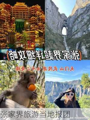 张家界旅游当地报团-第1张图片-欧景旅游网