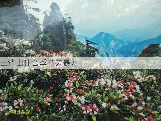 三清山什么季节去最好-第1张图片-欧景旅游网