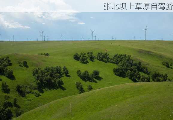 张北坝上草原自驾游-第2张图片-欧景旅游网