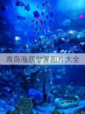 青岛海底世界图片大全-第2张图片-欧景旅游网