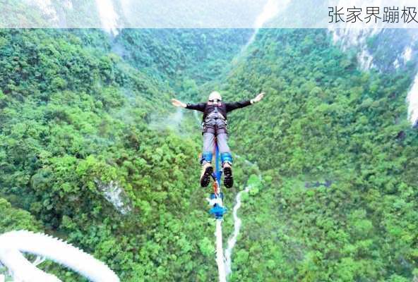 张家界蹦极-第3张图片-欧景旅游网