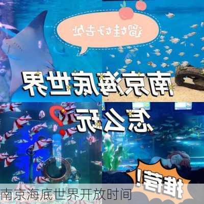 南京海底世界开放时间-第3张图片-欧景旅游网