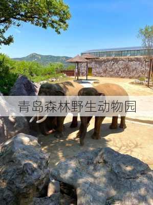 青岛森林野生动物园-第2张图片-欧景旅游网