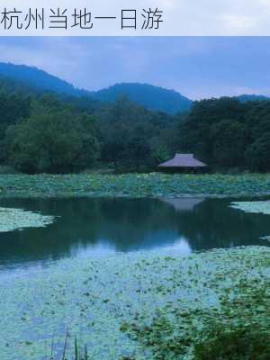 杭州当地一日游-第2张图片-欧景旅游网