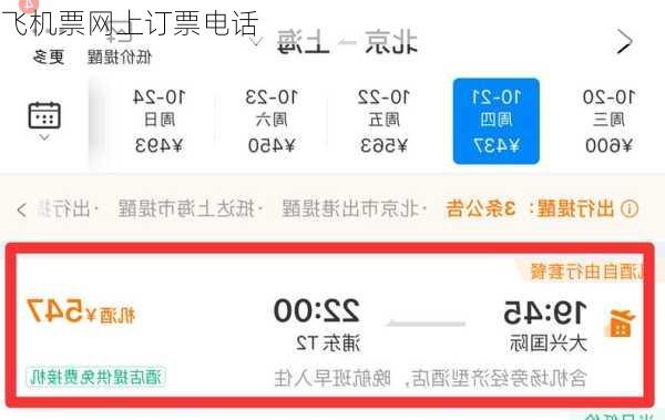 飞机票网上订票电话-第1张图片-欧景旅游网