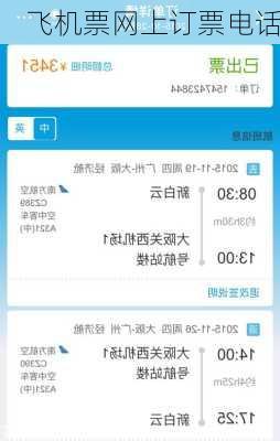 飞机票网上订票电话-第2张图片-欧景旅游网